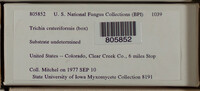 Image Associated With the Occurence